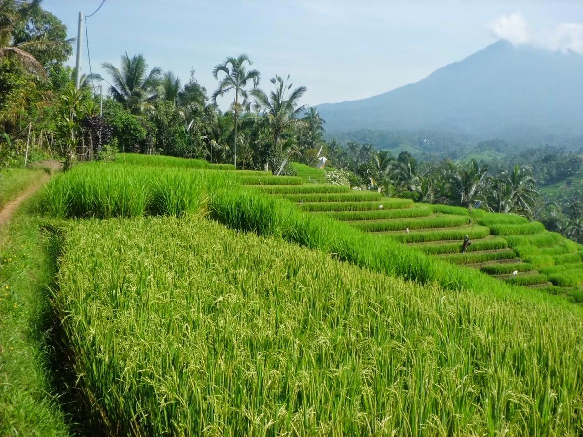 Zen Rooms Basic Kuta Kubu Anyar Zewnętrze zdjęcie